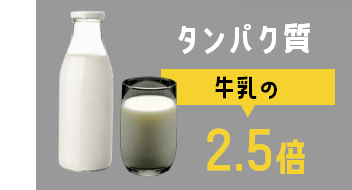 タンパク質