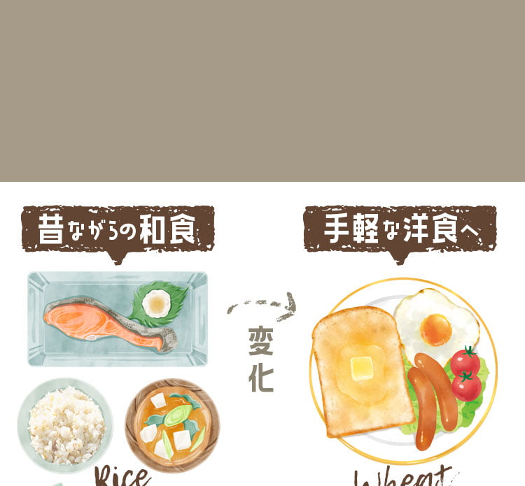 昔ながらの和食