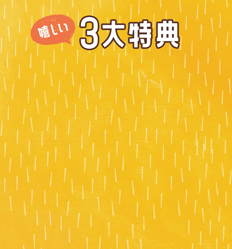 嬉しい3大特典