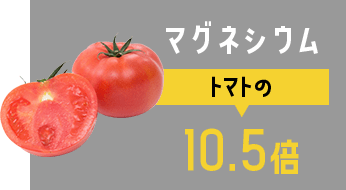 マグネシウム