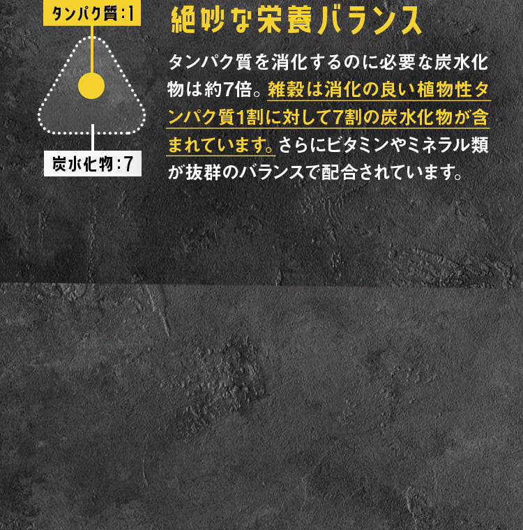 絶妙な栄養バランス