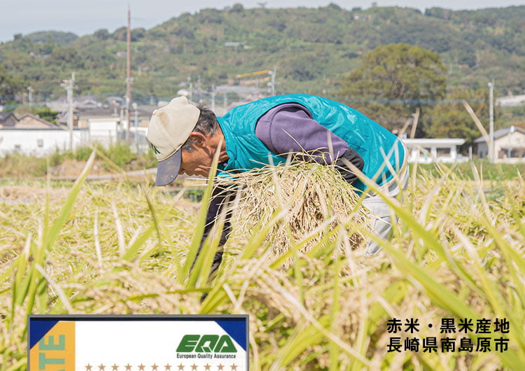 長崎県南島原市