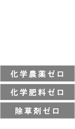 JAS OARC0089