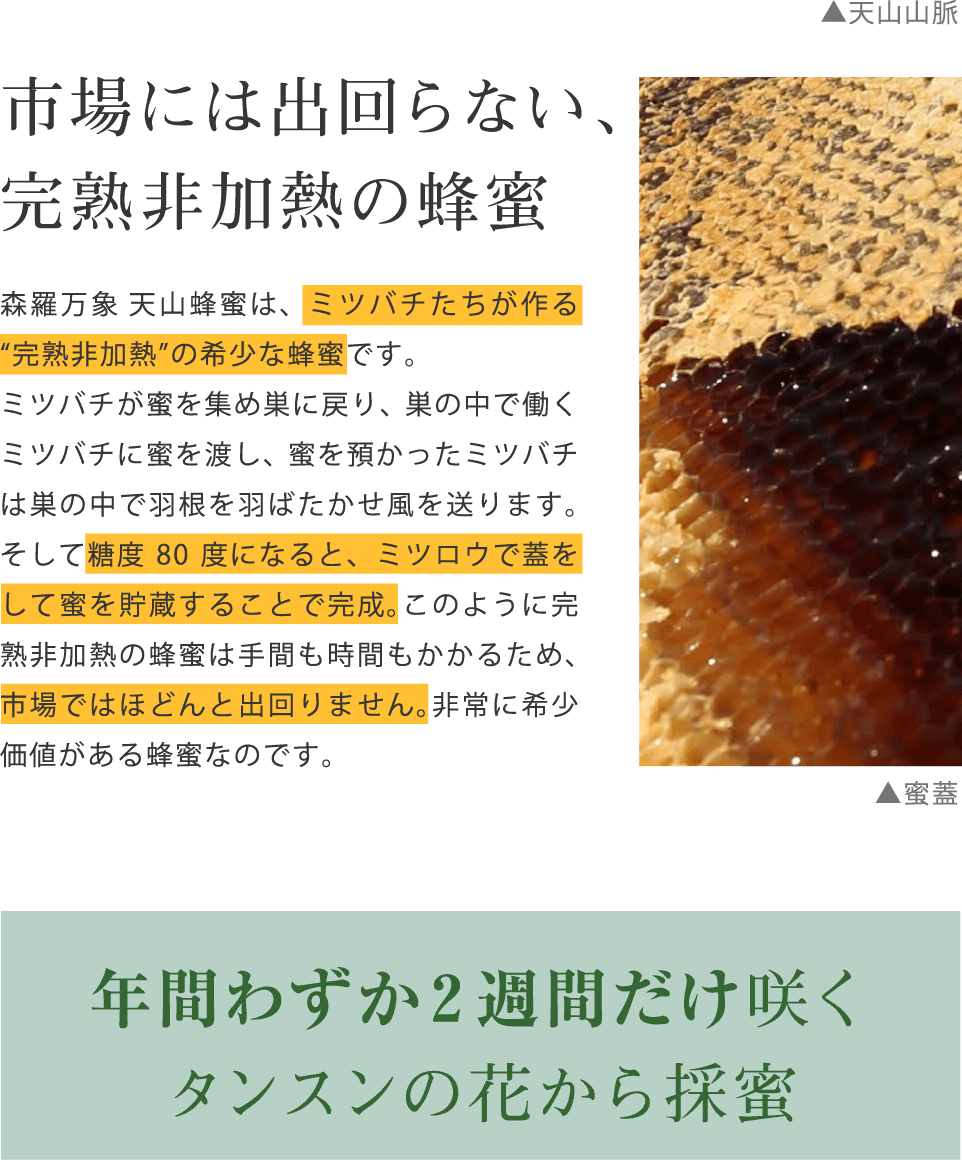 市場には出回らない、完熟非加熱の蜂蜜
