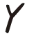 Y