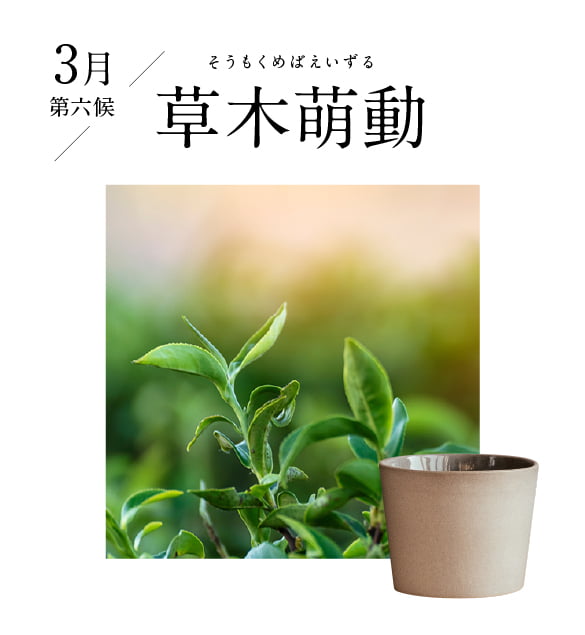 3月 草木萌動