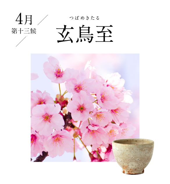 4月 蛙始鳴