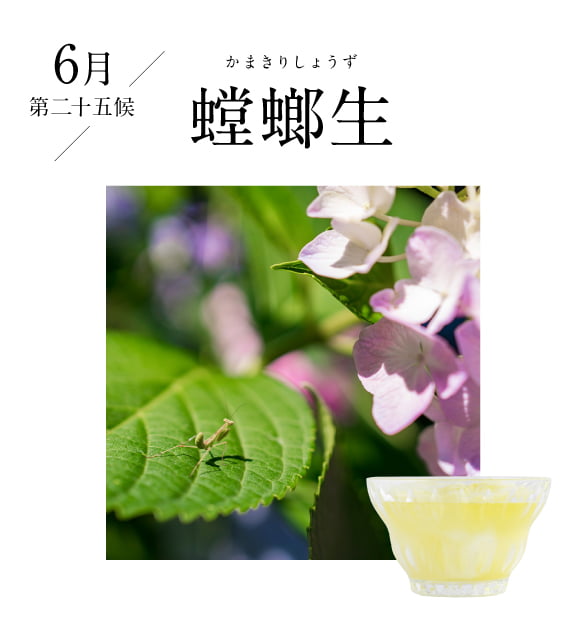 6月 温風至