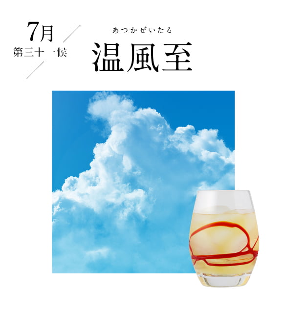 7月 寒蝉鳴