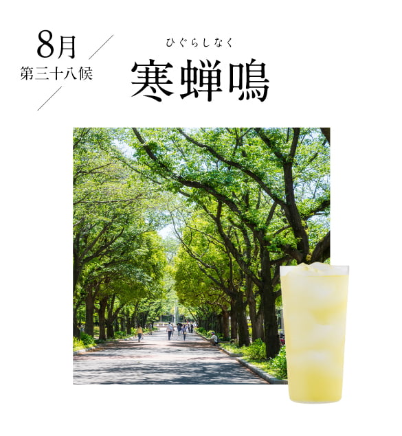 8月 禾乃登