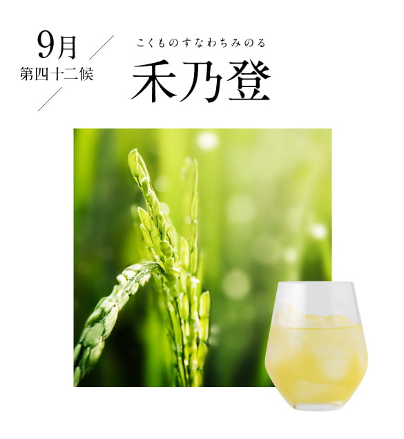 9月 水始涸