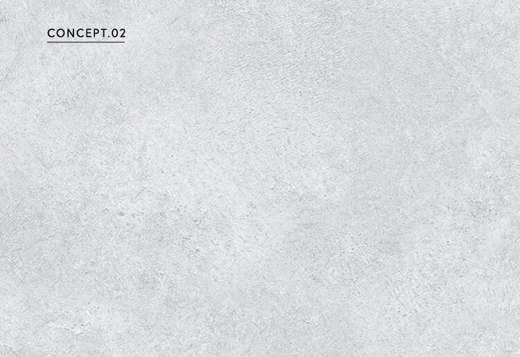 COCEPET.02