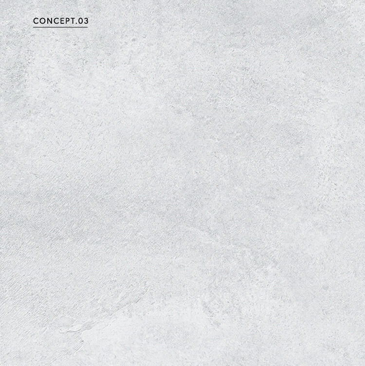 COCEPET.03