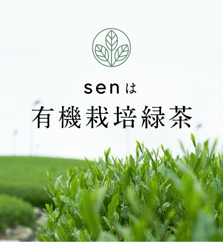 senは有機栽培緑茶