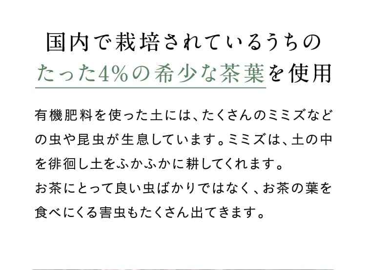 国内で栽培されているうちのたった4%の希少な茶葉を使用