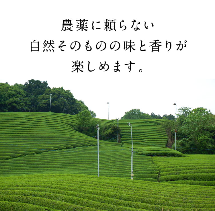 農薬に頼らない自然そのものの味と香りが楽しめます。