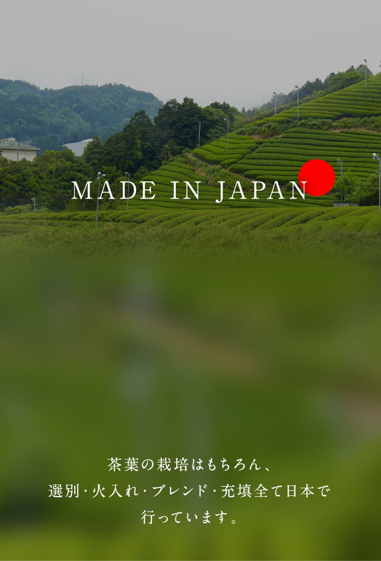 MADE IN JAPAN