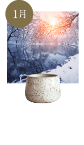 水泉動