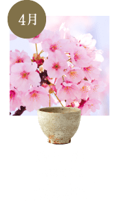 玄鳥至
