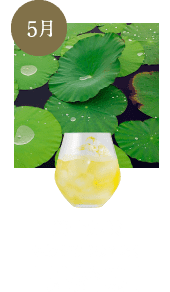 蛙始鳴