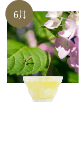 螳螂生