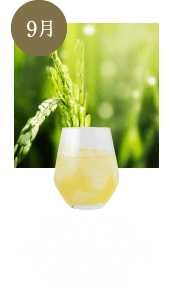 禾乃登